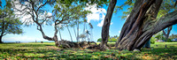 023 - Ed Pingol Photography Super PANO_DL