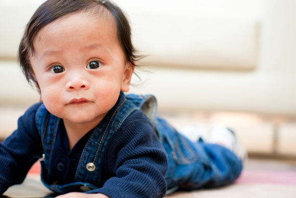 Ethan 6 Month Portraits 016